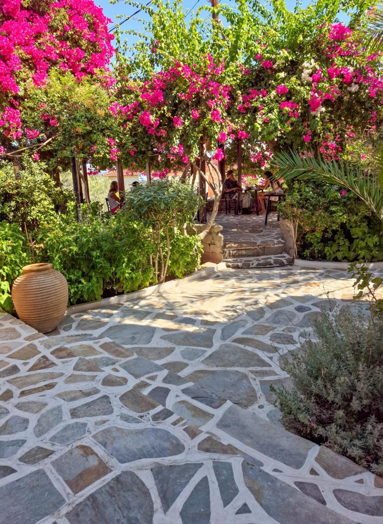 Vagia Traditional, Aegina Island 외부 사진