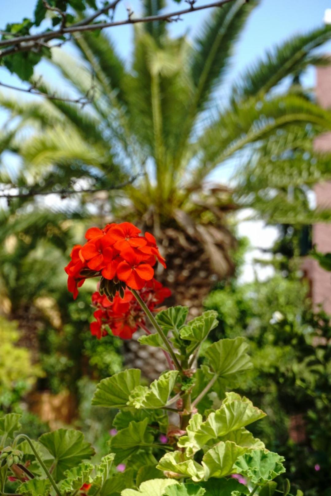 Vagia Traditional, Aegina Island 외부 사진